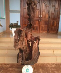 gỗ chất tây nguyên