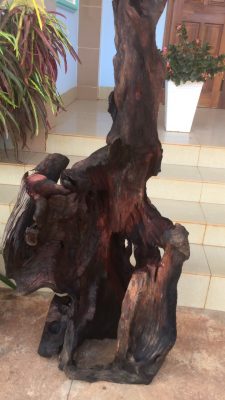 gỗ chất tây nguyên